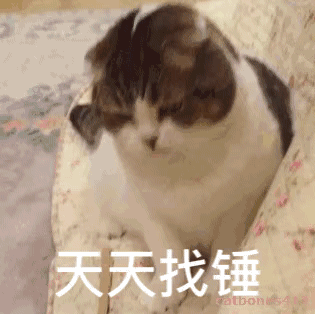 微信可爱萌喵星人斗图表情包