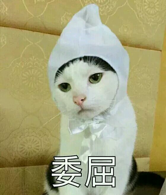 微信搞笑群聊斗图合集表情包