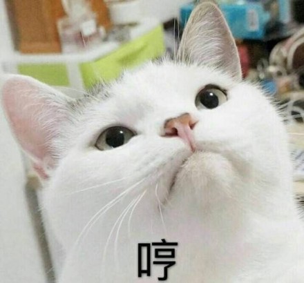 微信社会搞怪喵星人表情包