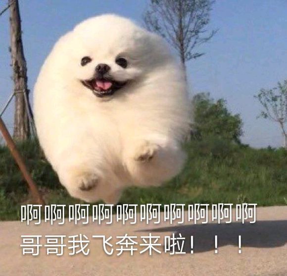 恶搞傻屌斗图微信表情包