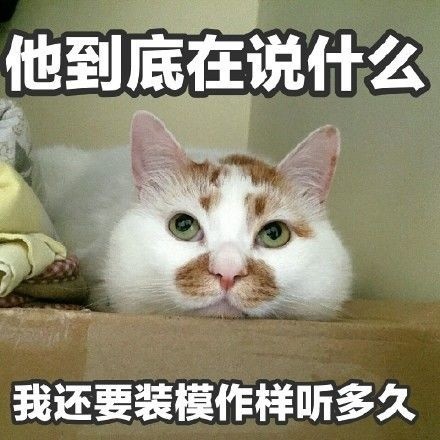 微信搞怪超可爱喵星人斗图表情包