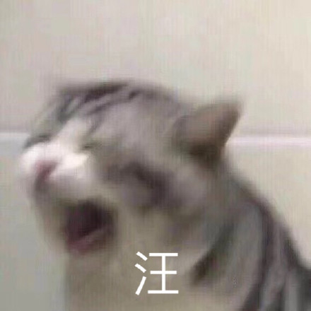 微信搞怪超可爱喵星人斗图表情包