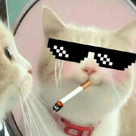 微信社会搞怪喵星人表情包