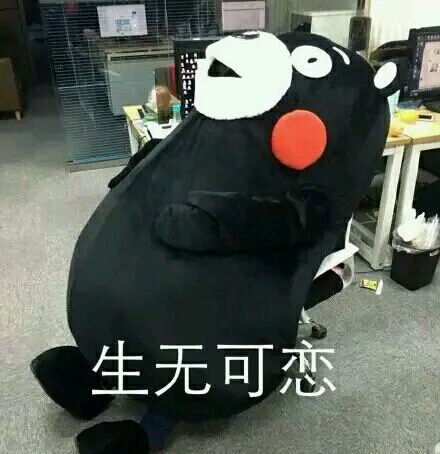 微信爆笑恶搞傻屌熊猫头斗图表情包
