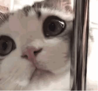 可爱搞怪斗图微信表情包