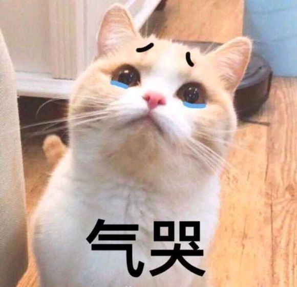 可爱搞怪斗图微信表情包