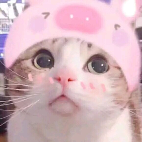 可爱搞怪斗图微信表情包