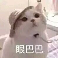 可爱搞怪斗图微信表情包