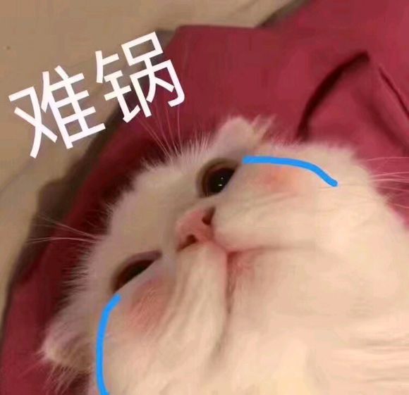 可爱搞怪斗图微信表情包