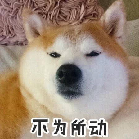 爆笑搞怪傻屌斗图微信表情包