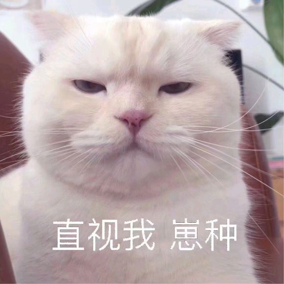 可爱搞怪斗图微信表情包