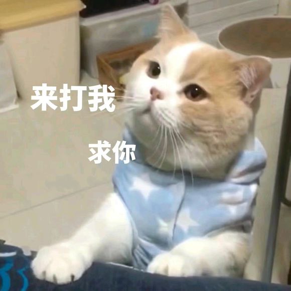 可爱搞怪斗图微信表情包