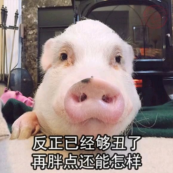 微信爆笑傻屌群聊撕逼斗图表情包