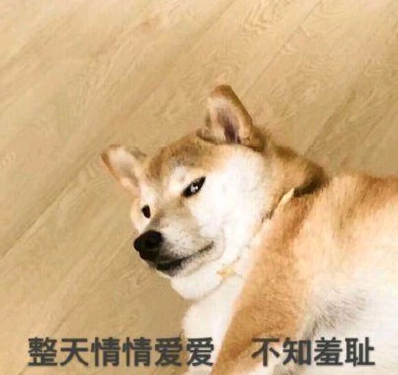 微信搞怪傻屌群聊斗图撕逼表情包