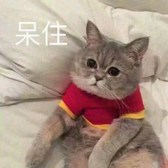 微信恶搞蠢萌喵星人表情包