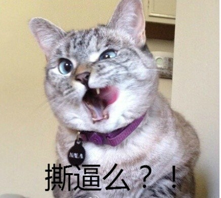 微信恶搞蠢萌喵星人表情包