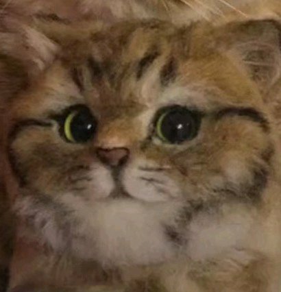 微信搞怪GIF喵星人斗图表情包