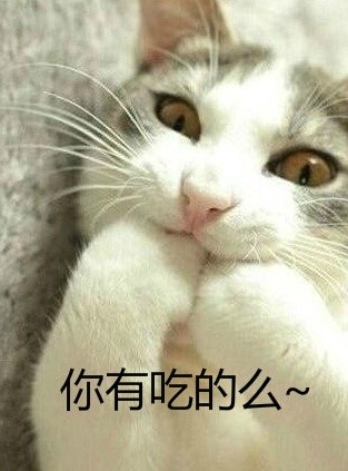 微信恶搞蠢萌喵星人表情包