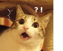 微信搞怪萌萌哒喵星人表情包