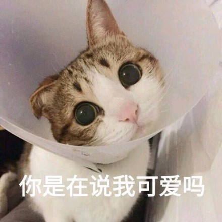 微信搞怪萌萌哒喵星人表情包