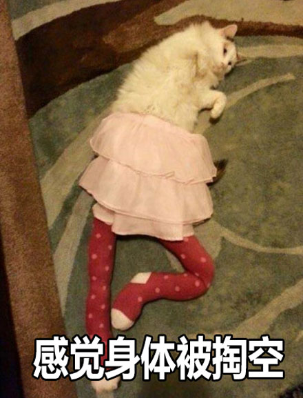 微信恶搞蠢萌喵星人表情包