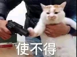 微信搞怪GIF喵星人斗图表情包