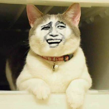 微信搞怪萌萌哒喵星人表情包