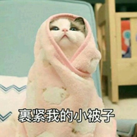 微信可爱聊天喵星人表情包