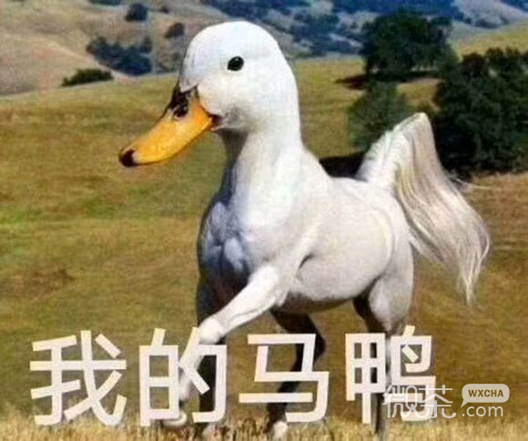微信滑稽傻屌群聊撕逼斗图表情包