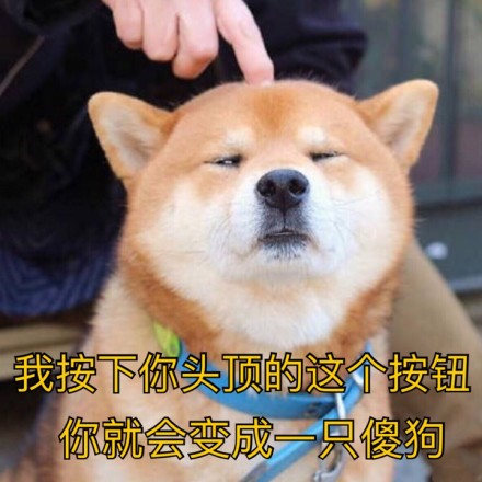 微信恶搞狗表情包