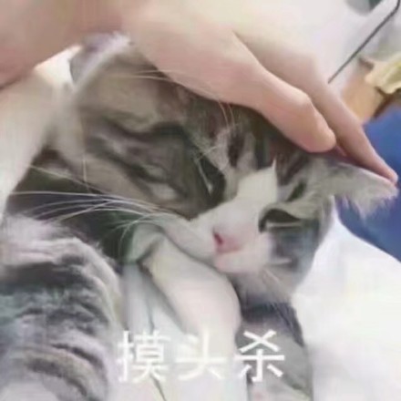 微信恶搞蠢萌喵星人表情包