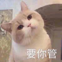 微信搞怪GIF喵星人斗图表情包