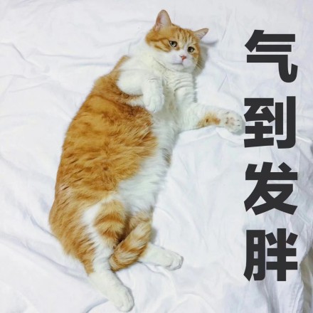 微信可爱聊天喵星人表情包