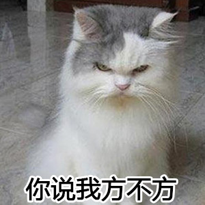 微信搞怪萌萌哒喵星人表情包