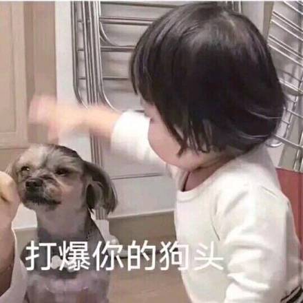 微信恶搞狗表情包