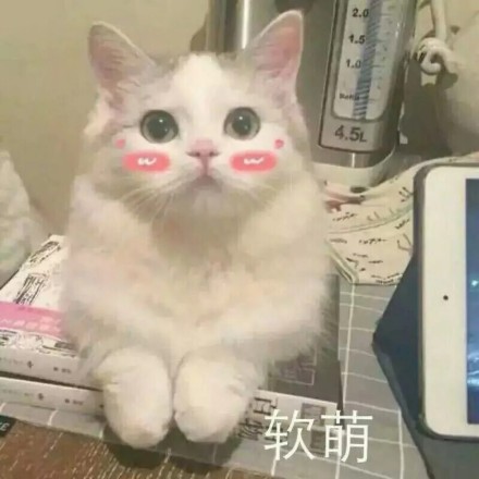 微信恶搞蠢萌喵星人表情包