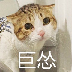 微信可爱聊天喵星人表情包