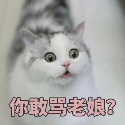 微信可爱聊天喵星人表情包