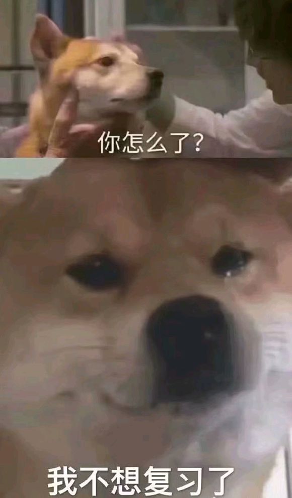 微信搞怪傻屌群聊斗图撕逼表情包