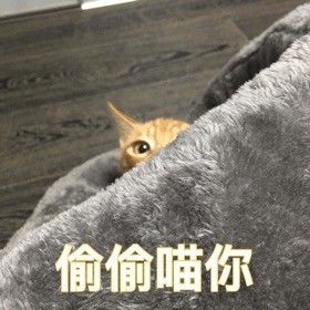 微信恶搞蠢萌喵星人表情包