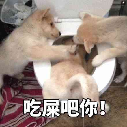 微信可爱聊天喵星人表情包