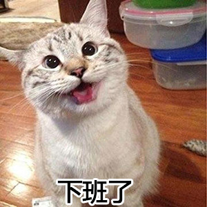 微信搞怪萌萌哒喵星人表情包