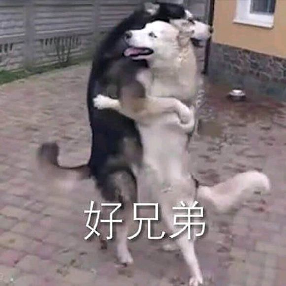 微信搞怪傻屌群聊斗图撕逼表情包