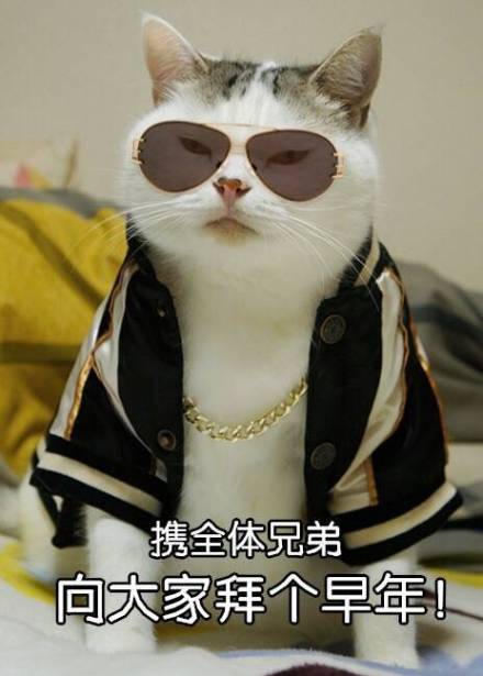 微信恶搞蠢萌喵星人表情包