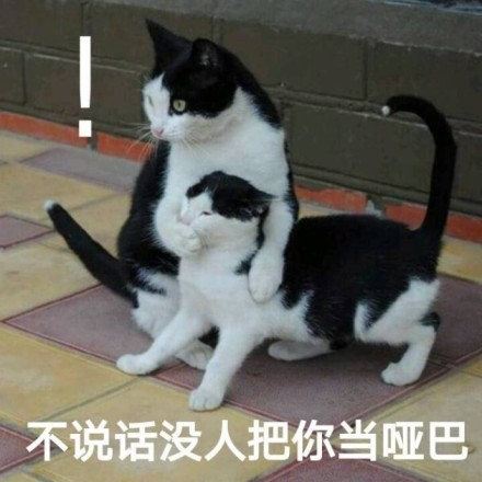 微信可爱聊天喵星人表情包