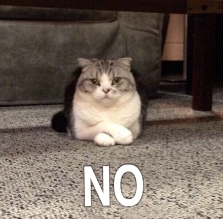 微信恶搞蠢萌喵星人表情包