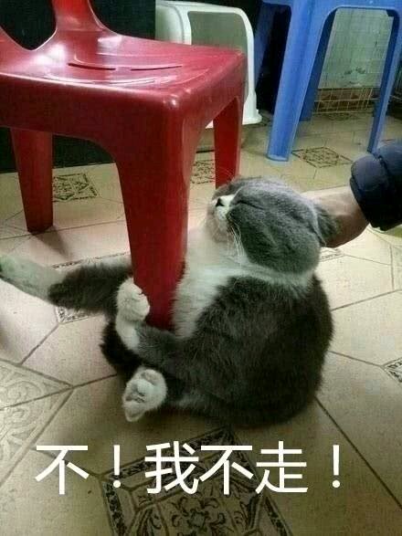 微信搞怪GIF喵星人斗图表情包