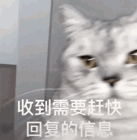 微信超萌可爱喵星人表情包