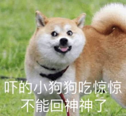 微信恶搞狗表情包