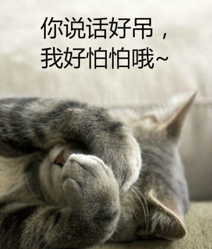 微信恶搞蠢萌喵星人表情包